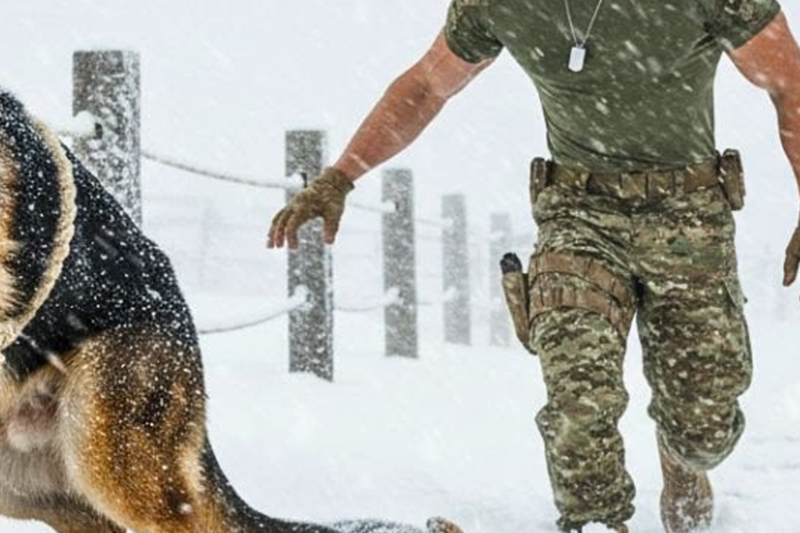 He Rescued a Frozen Puppy in the Storm, But What He Found Outside His Cabin That Night Changed Everything