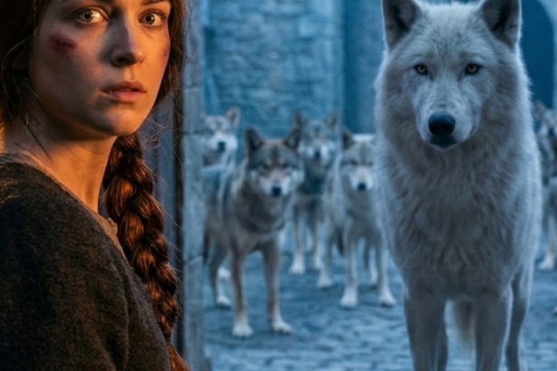 “They don’t make mistakes.”—When forty wolves crossed kingdoms just to kneel before a girl no one was meant to notice