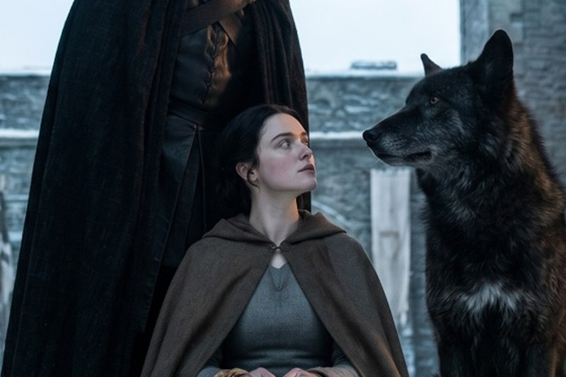 “The wolf only chooses once.” Yet the grieving Alpha King watched his feared beast kneel before an unnoticed omega