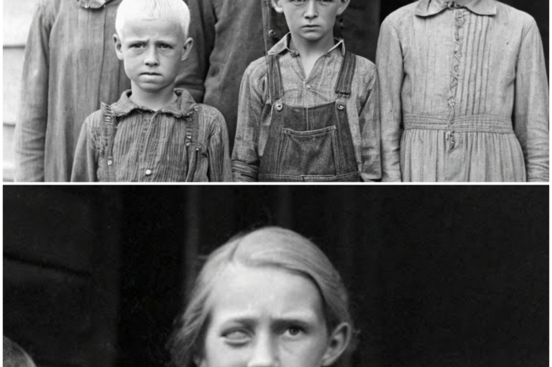 The Winfield Children Returned From The Woods With Empty Eyes And A Voice That Was Not Theirs, And What They Brought Back Is Still Waiting Beneath The Hollow Oak