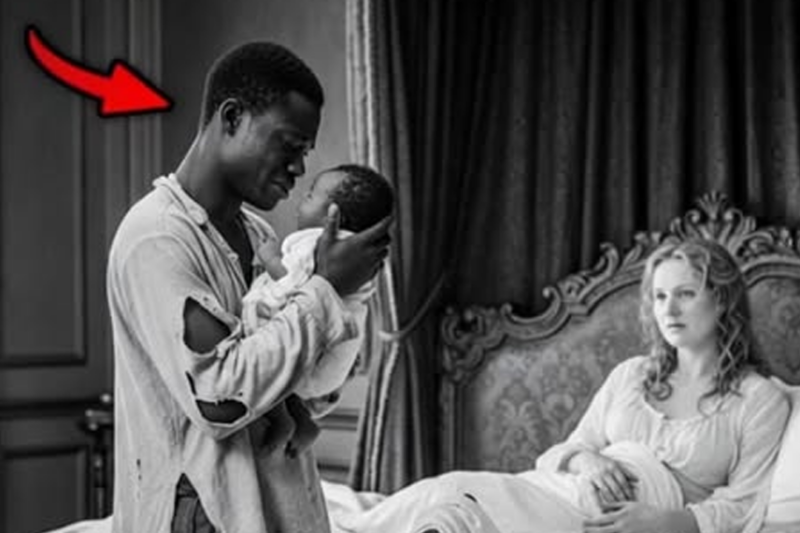 THE SECRET HEIR THAT THE PLANTATION TRIED TO HIDE