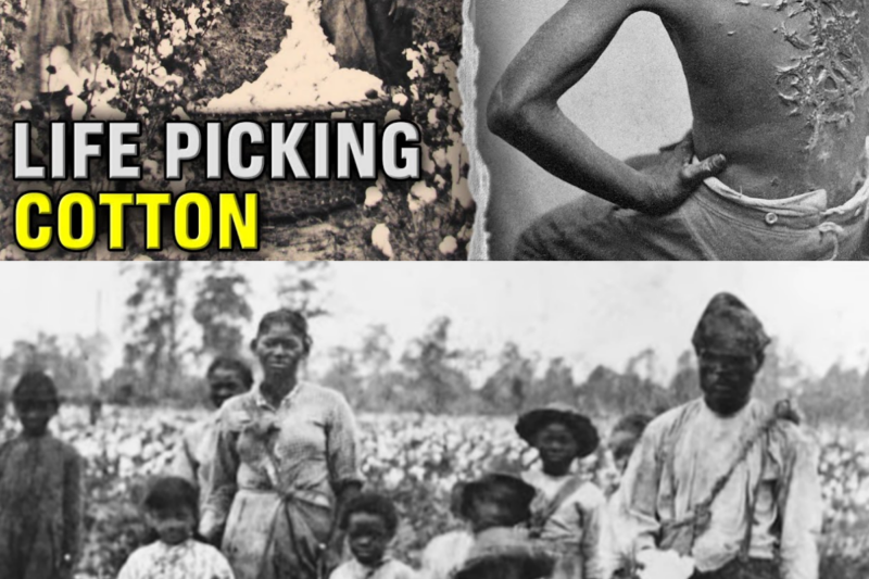 THE DISTURBING LIFE OF A SLAVE ON A COTTON PLANTATION: A HELL NO HUMAN SHOULD ENDURE