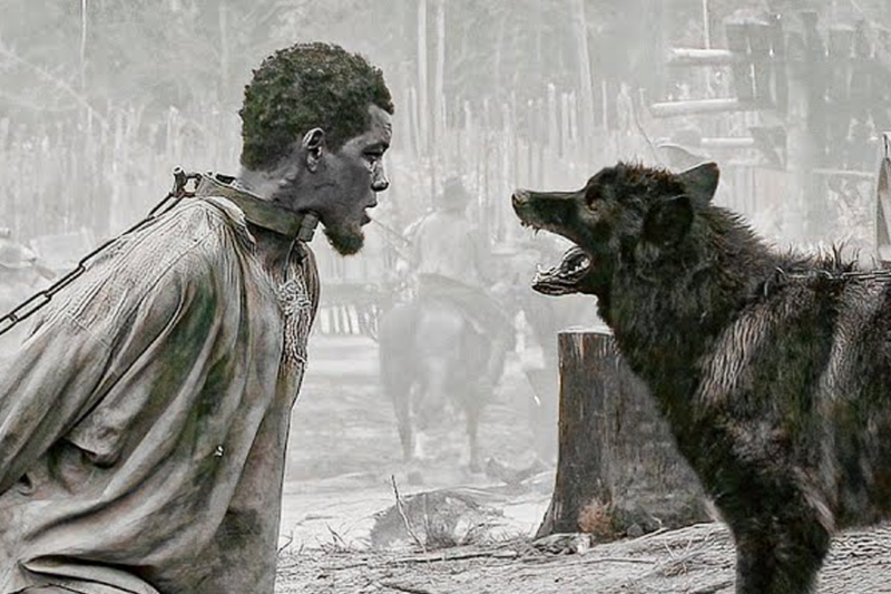 BLACK SLAVE ENDS UP ON A HORROR PLANTATION WHERE PEOPLE ARE USED AS DISPOSABLES