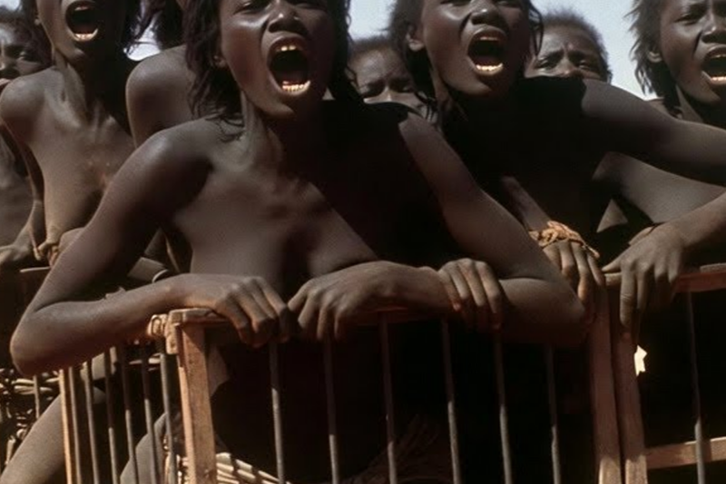 THE ARAB SLAVE TRADE DID SOMETHING WORSE THAN DEATH TO AFRICAN WOMEN