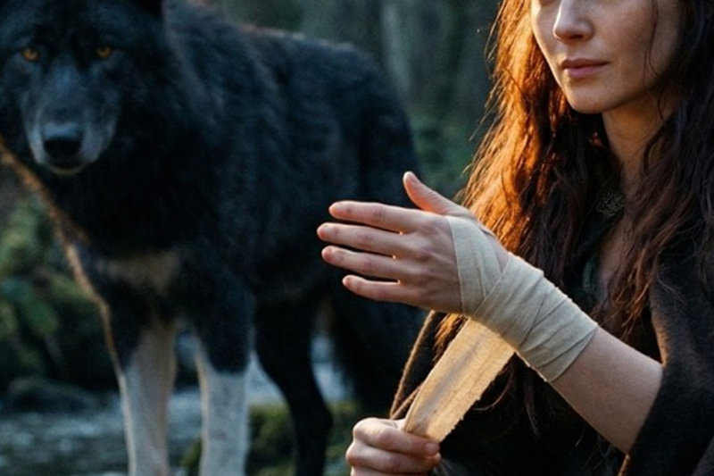 “Anyone Who Touches Her Answers To Me.” — The Banished Omega Who Brought An Alpha King To His Knees