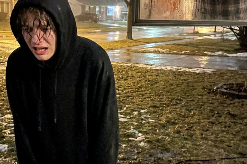 The Boy Under the Porch – How One Stray Dog Healed Two Lonely Hearts