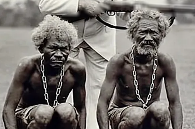 WHEN THEY BECAME TOO OLD TO WORK, THEY STOPPED BEING SEEN AS HUMAN | THE FORGOTTEN FATE OF ELDERLY ENSLAVED PEOPLE