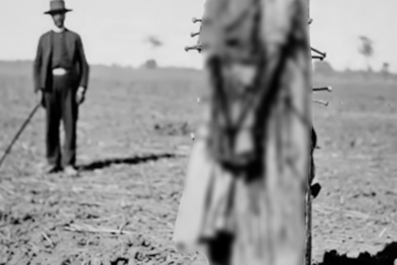 THE WHIPPING MACHINES OF HELL: SKIN-RIPPING TORTURES THAT TURNED BLACK BODIES INTO BROKEN MEAT ON AMERICA’S COTTON PLANTATIONS