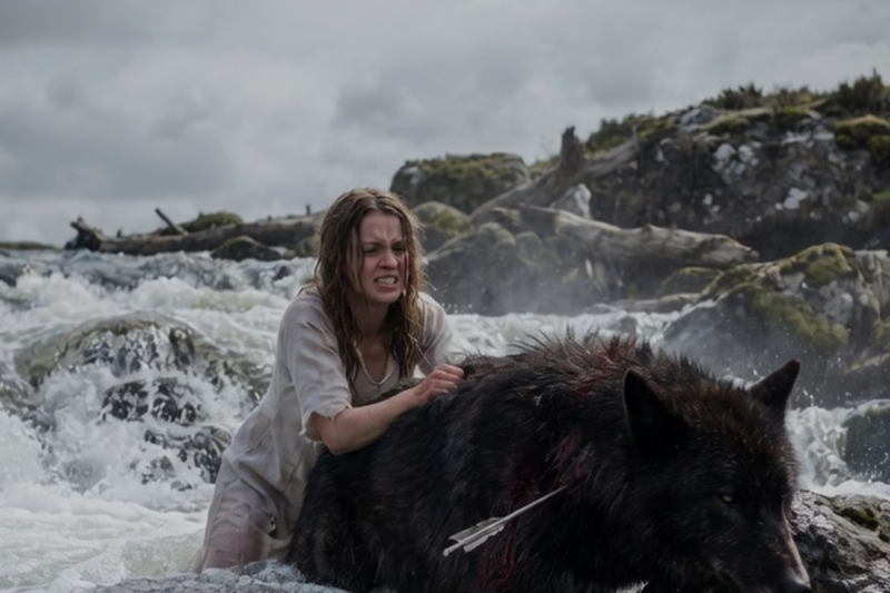 DON’T TOUCH THAT WOLF, THEY WARNED—BUT SHE SAVED HIM IN THE RIVER, AND THE ALPHA KING CAME AFTER HER