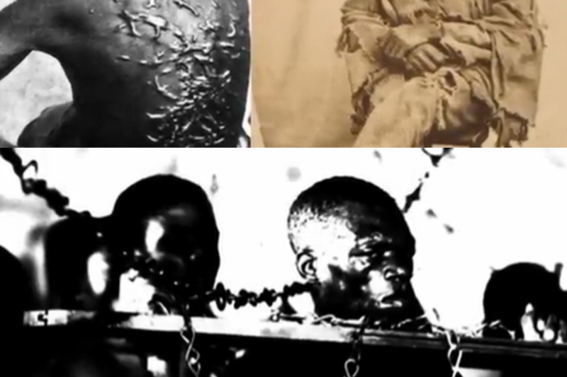 SKIN PEELED LIKE AN ANIMAL: THE DISTURBING IMAGE OF SLAVERY NO ONE CAN FORGET