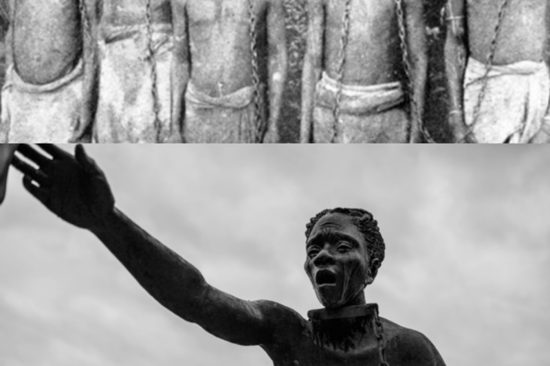 THE RAPE PLANTATIONS OF AMERICA: BLACK WOMEN FORCED TO BREED PROFIT FOR THEIR MASTERS