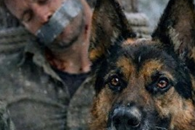 She Followed Her Rescued Dog Into the Snow—What They Found Bound to a Tree Changed Everything Forever