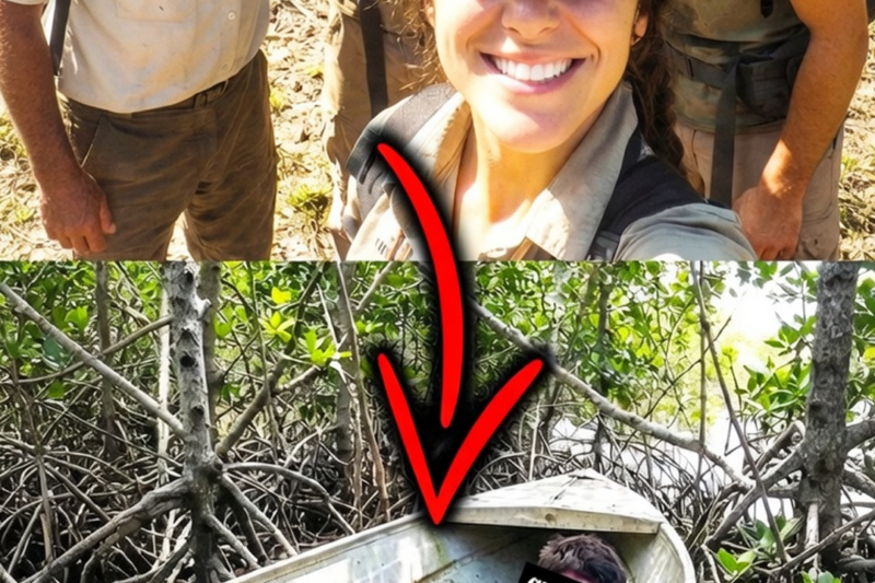 The Silence of Snake Creek: The Everglades Never Gave Them Back