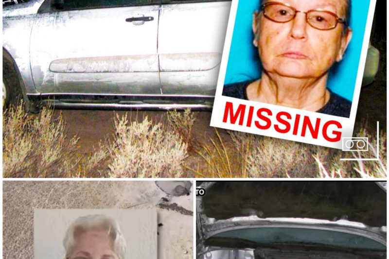 TWO ELDERLY WOMEN VANISHED IN THE NEVADA DESERT ONE BODY FOUND CURLED UP INSIDE THE CAR THE OTHER ERASED FOREVER BY THE WILDERNESS