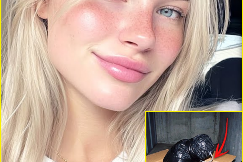 Model Vanished in LA — THIS Was Found Inside a U-Haul Box in a Storage Unit, WRAPPED IN BUBBLE WRAP