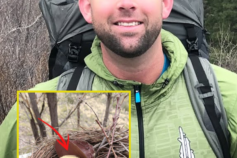 Hiker Disappeared In The Rocky Mountains – 5 Years Later SKULL Found In BIRD NEST…