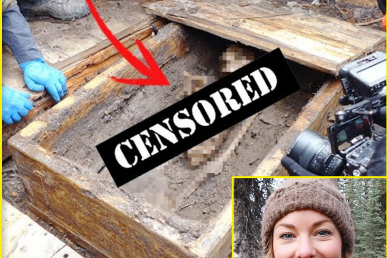 Woman Vanished in Alaska – 6 Years Later Found in WOODEN CHEST Buried Beneath CABIN FLOOR…