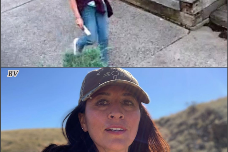She Vanished Without Her Phone… Then a Hiker Found Something That Changed Everything