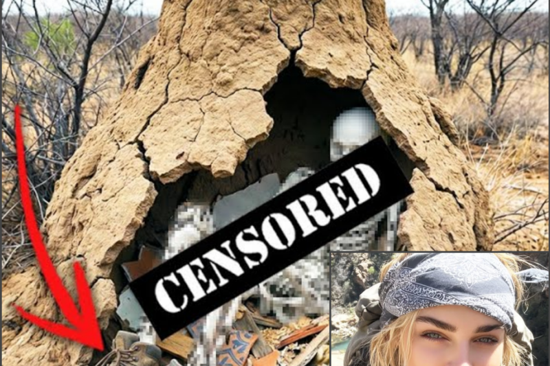Hiker Vanished in Arizona — 7 Years Later Found As PART OF A GIANT TERMITE MOUND…