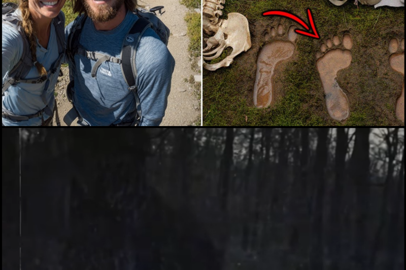 Couple Vanished in Washington in 2014 — In 2022 Their Remains Found in Ravine with Bare Footprints