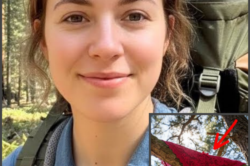 Girl Vanished In Yosemite – 7 Months Later THIS Was Found HANGING ON TREE…