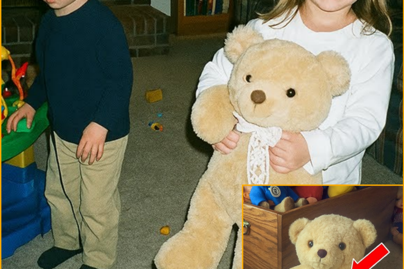Girl Vanished From Her Living Room in 1998 — 16 Years Later Her Brother Cuts Open Her Teddy Bear…