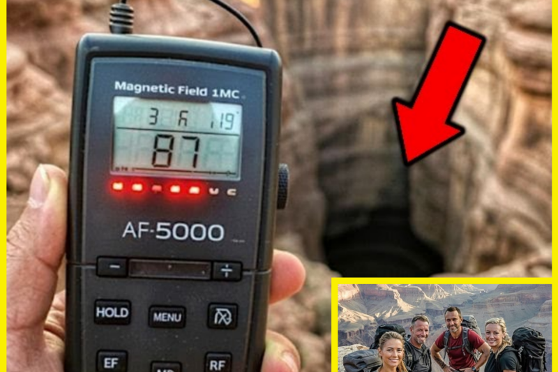 Four Friends Vanished in the Grand Canyon, seven years later one returned and revealed th..