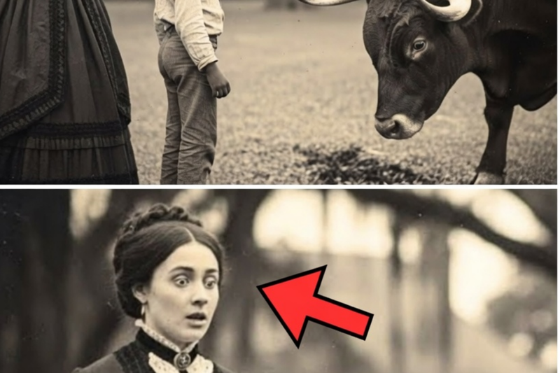 HE STOPPED THE DEADLY BULL AND UNLOCKED THE PLANTATION’S DARKEST TRUTH
