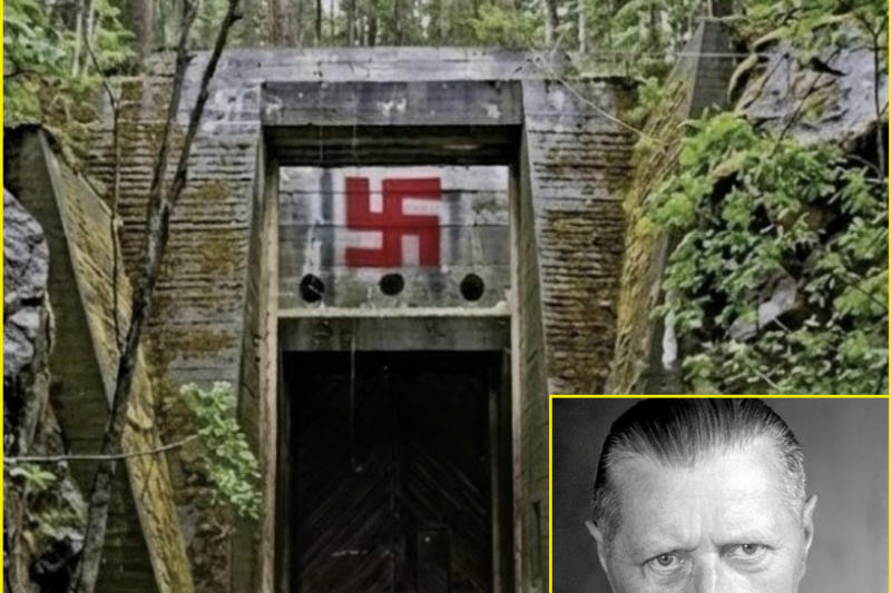 German General Vanished in 1945 — 80 Years Later His Hidden Forest Bunker Was Discovered by Accident