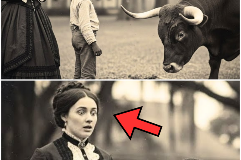 “HE SAVED HER LIFE!” BUT AFTER THE ENSLAVED BOY STOPPED THE DEADLY BULL, THE PLANTATION TURNED AGAINST HIM