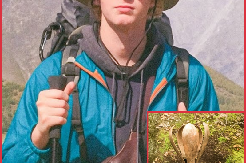 SOLO HIKER VANISHED WITHOUT A TRACE IN TRINITY ALPS — 5 YEARS LATER HUNTERS DIG UP HIS CLOTHES AND A MEDIEVAL TORTURE DEVICE THAT CHANGED EVERYTHING 😱🪓