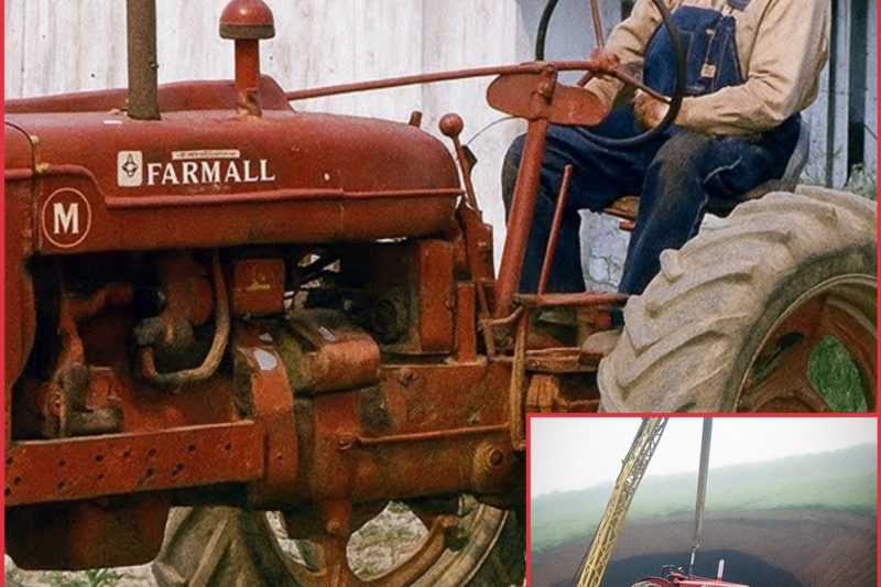 Farmer Vanished in 1996 — 15 Years Later, His Family Made a Shocking Discovery…