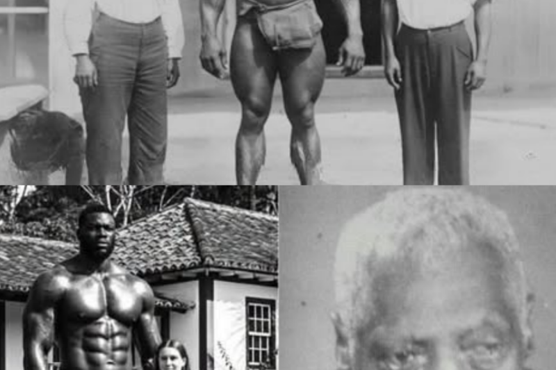 THE 7’2″ SLAVE STUD: BOUGHT FOR HIS THIN LEGS TO BREED HUNDREDS IN A LIVING HELL