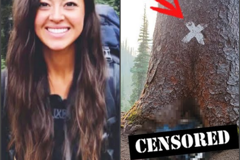 Solo Woman Hiker Vanished In Idaho Woods – 3 Years Later Found Beneath a TREE MARKED “X”…