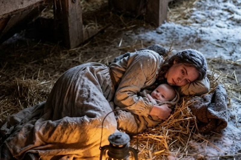 THE CHRISTMAS BARN MIRACLE
