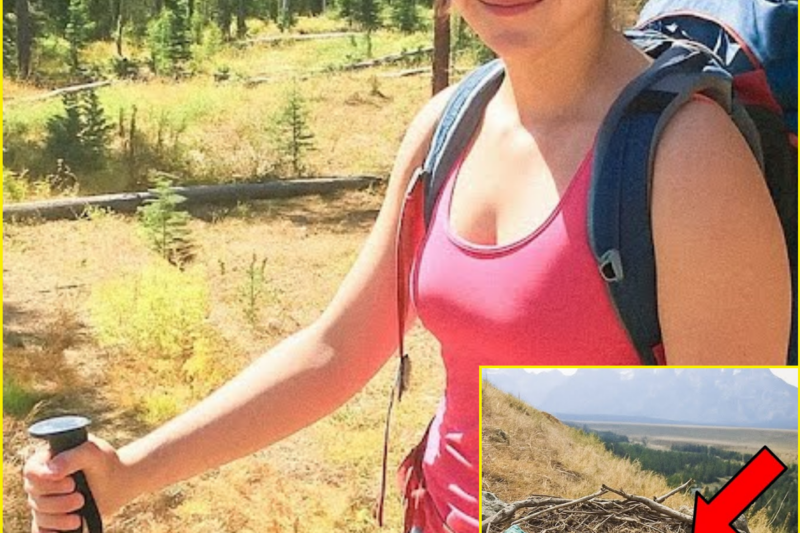 Young Hiker Vanished on Grand Teton, 11 Months Later Ranger Finds This Inside Eagle’s Nest…
