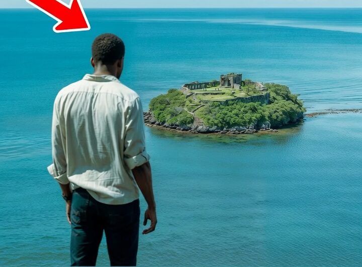 They Laughed When a Poor Man Bought an Abandoned Island for $1 — But What He Dug Up Shocked the World