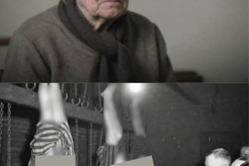 Part 2 The Silent Survivor