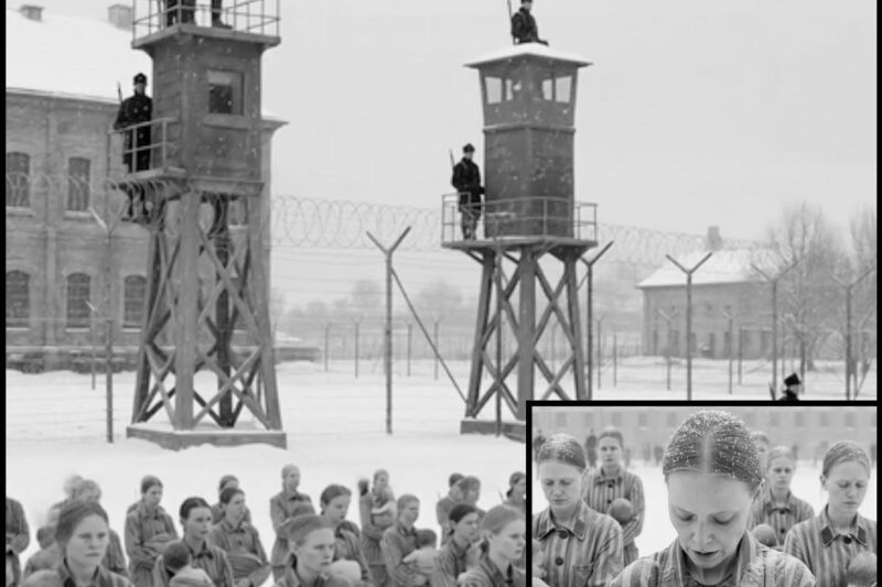 PART 2 They arrived at Auschwitz still holding hands.