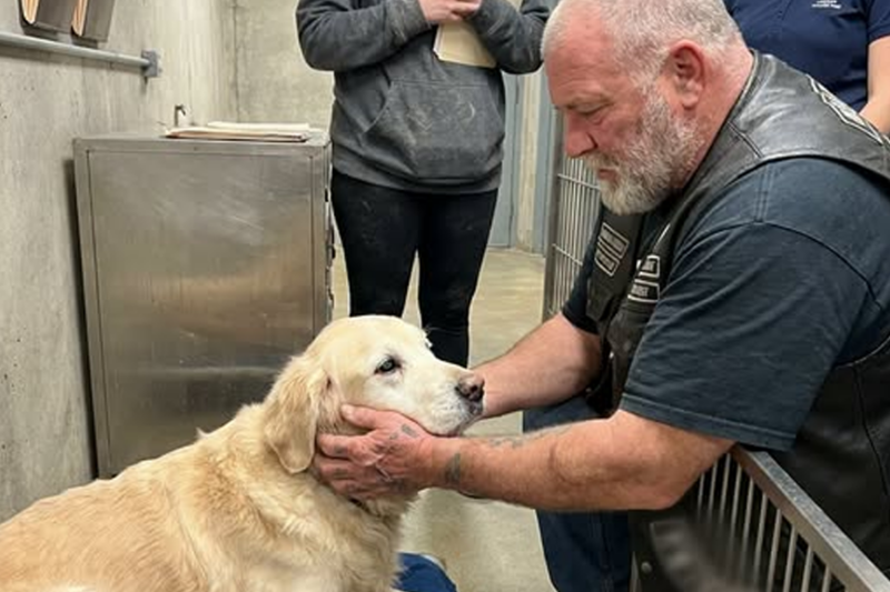The shelter worker warned the 6-foot-5 biker that the old dog might not survive the month, but he opened the kennel anyway and said, “Then I’d better hurry up and love …