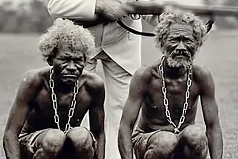 WHEN THEY BECAME TOO OLD TO WORK, THEY STOPPED BEING SEEN AS HUMAN