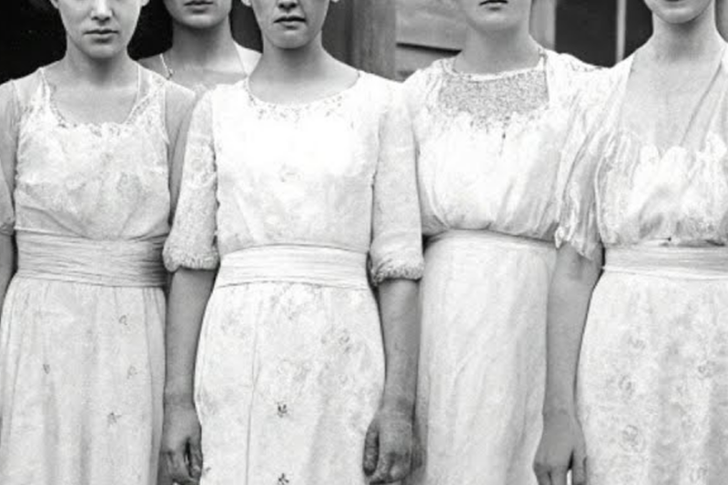 EVERY WILKS BRIDE DIED ON HER WEDDING NIGHT — UNTIL ONE BRIDE SLAUGHTERED THE GROOM IN THEIR MARRIAGE BED