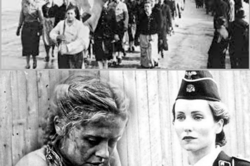 When Ordinary Women Became Instruments of the Reich