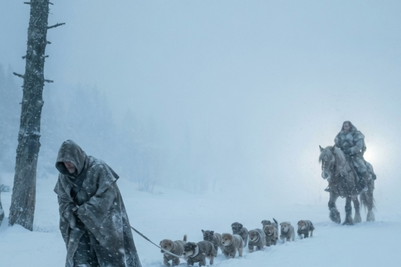 Part 2: The Omega Walked 9 Pups Through the Whiteout Blizzard — The Bond That Shook Two Kingdoms