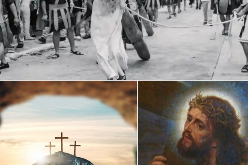 He Crushed the Serpent’s Head in the Moonlight — Then the Real Hell Began.